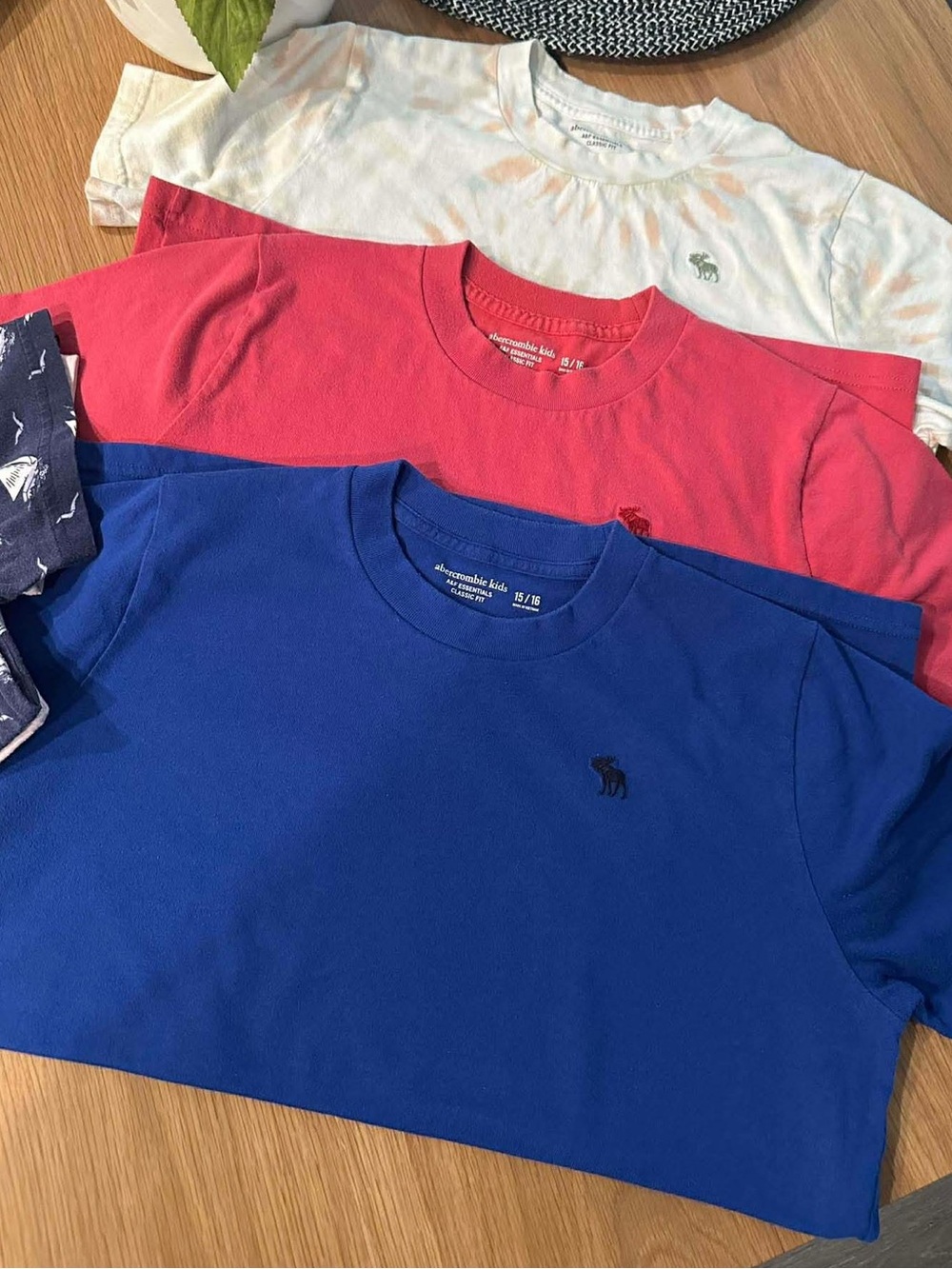 abercrombie kids Blue, Red & Cream Logo Tee Set